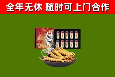金山回收冬虫夏草价格
