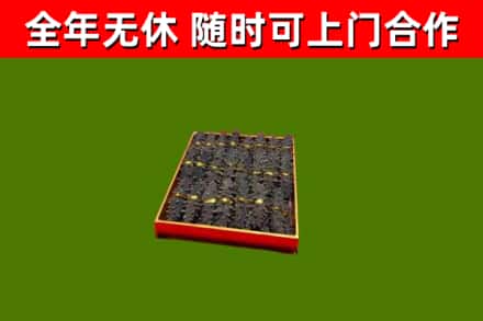 金山烟酒回收海参.jpg